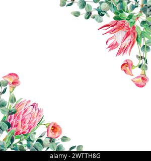 Protea Aquarell, Eukalyptuszweige, Calla-Lilien, Rahmen. Vektor-Illustration von rosa Blumen. Karten, Hochzeitseinladungen, Banner, Briefe, Etiketten. Stock Vektor