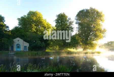 Sonnenaufgang über einem ruhigen See mit Schwänen und einem Ferienhaus. Stockfoto