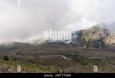 Nationalpark Vesuv. Auf dem aktiven Vulkan Vesuv, südöstlich von Neapel. Italien Stockfoto