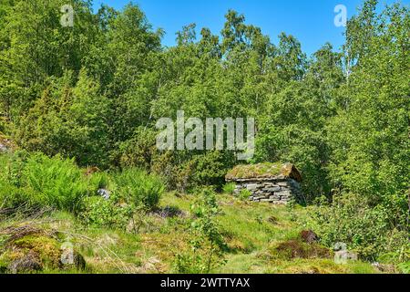 Alte Hütte entlang des Wanderweges zum spektakulären Wasserfall der Sieben Schwestern durch tiefgrünen Wald entlang des Geirangerfjords, Norwegen auf einer sonnigen d Stockfoto