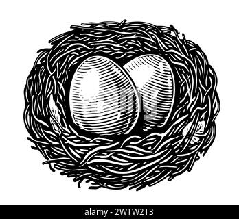 Eier im Nest isoliert auf weißem Hintergrund. Handgezeichnete Skizze Vintage Illustration im Gravurstil Stock Vektor