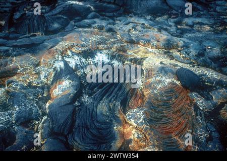 Gekühlte Lava mit Rissen, Falten und Mineralniederschlag, aufgenommen 1992, Hawai'i Volcanoes National Park, Hawaii, Hawaii, Hawaii, Hawaii, USA Stockfoto