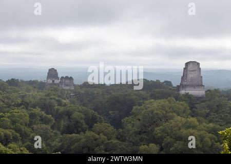 Tempel I oder gran jaguar im Tikal Nationalpark, alte maya-Ruinen in Guatemala an sonnigen Tagen. Stockfoto