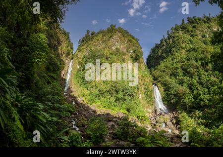 Die Zwillingsfälle der Trafalgar Falls hoch in den Bergen von Dominica Stockfoto