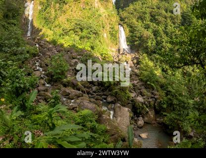 Die Zwillingsfälle der Trafalgar Falls hoch in den Bergen von Dominica Stockfoto