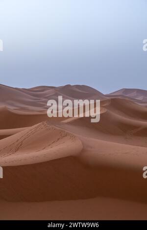 Authentischer Blick auf die Sanddünen der sahara in marokko, afrika Stockfoto