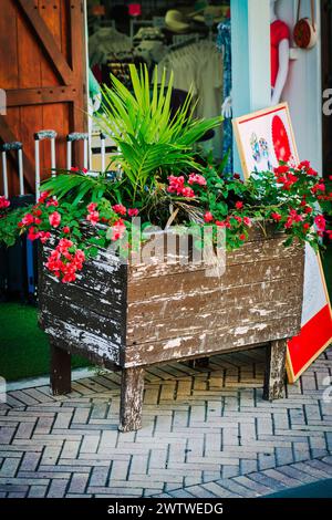 Eine rustikale Pflanzbox aus Holz, gefüllt mit lebendigen Blumen und Grün, vor einem Geschäft Stockfoto