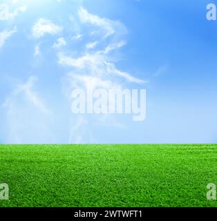 Grünes Gras unter blauem Himmel mit Wolken Stockfoto