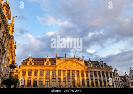 Die historischen Gildensäle des Brüsseler Grand Place sonnen sich im warmen Licht der goldenen Stunde, mit kunstvoll verzierten, vergoldeten Fassaden, die vor dem Hintergrund des blauen Himmels und der schimmernden Wolken beleuchtet werden. Golden Hour Glühen auf den Brüsseler Grand Place Gildhall. Hochwertige Fotos Stockfoto