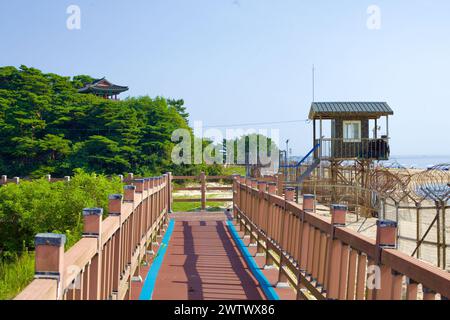 Goseong County, Südkorea - 30. Juli 2019: Eine malerische Promenade, flankiert von hölzernen Zäunen und Metallzäunen mit Stacheldraht, erstreckt sich über das Sumpfgebiet bea Stockfoto