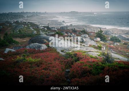 Granitblöcke und Wildblumen an einem nebeligen Tag an der Atlantikküste von Nova Scotia, Kanada, in der Nähe von Peggy's Cove Stockfoto