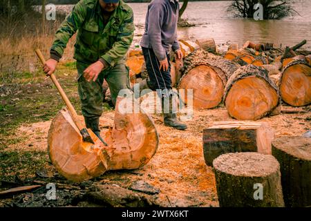 Holzfäller mit Beile schneiden, hacken, frisch geschnittenen Baumstumpf auf dem Waldboden, Holzstruktur, Holz, Hartholz, Brennholz in der Nähe des Flusses. Stockfoto