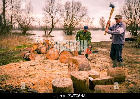 Holzfäller mit Beile schneiden, hacken, frisch geschnittenen Baumstumpf auf dem Waldboden, Holzstruktur, Holz, Hartholz, Brennholz in der Nähe des Flusses. Stockfoto