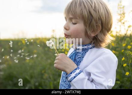 Der blonde Junge in einem gestickten ukrainischen Hemd steht auf einem Feld und bläst auf einem Löwenzahn Stockfoto