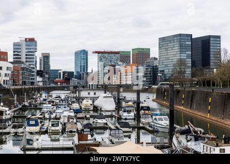 marina im Medienhafen, Düsseldorf, Deutschland. Yachtafen im Medienhafen, Düsseldorf, Deutschland. Stockfoto