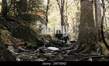 Junge aktive Frau und ihr Sohn wandern, wandern im Wald. Kreativ. Herbstspaziergang auf steinigen Pfaden mit Baumwurzeln. Stockfoto