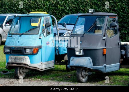 Die Insel Sant'Erasmo ist berühmt für den Anbau der San Erasmo Violet Artischocke. Fast alle Einwohner fahren mit dem Piaggio Ape Auto. Stockfoto