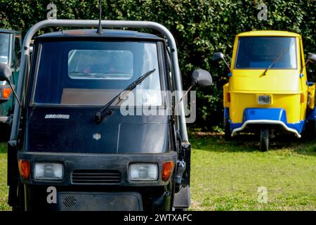 Die Insel Sant'Erasmo ist berühmt für den Anbau der San Erasmo Violet Artischocke. Fast alle Einwohner fahren mit dem Piaggio Ape Auto. Stockfoto