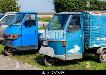 Die Insel Sant'Erasmo ist berühmt für den Anbau der San Erasmo Violet Artischocke. Fast alle Einwohner fahren mit dem Piaggio Ape Auto. Stockfoto