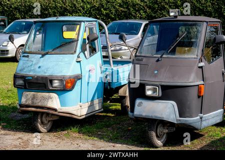 Die Insel Sant'Erasmo ist berühmt für den Anbau der San Erasmo Violet Artischocke. Fast alle Einwohner fahren mit dem Piaggio Ape Auto. Stockfoto