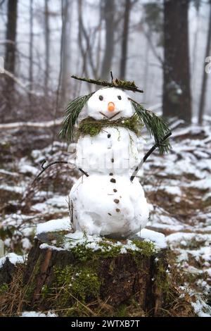 Schneemann auf einem Baumstumpf mit einer Karotte für die Nase, Knöpfen, einem Zweig für Arme und Kiefernnadeln für Haare. Im schneebedeckten Wald. Stockfoto