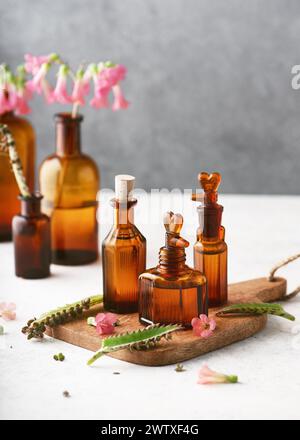 Mutter tausender Pflanzen ätherisches Öl (Tinktur, Heilmittel, Infusion) in Glasflaschen mit frischen Blüten und Blättern. Spa- oder Kräutermedizin-Konzept. Stockfoto