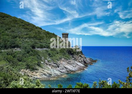 Korsika, der Losseturm, die alte genuesische Festung an der Küste, im Frühling eine Meereslandschaft Stockfoto