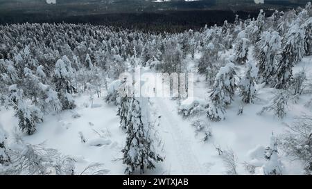 Von oben nach unten sehen Sie Wanderer, die einen nach dem anderen im Winterwald spazieren gehen. Clip. Reisende, die den verschneiten Wald erkunden. Stockfoto