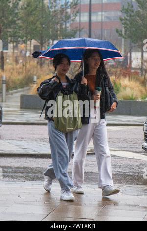 Preston, Lancashire. Wetter in Großbritannien 20. März 2024. März 2024 Wetter in Großbritannien. Studenten, die morgens im Stadtzentrum studieren. Regen, Regen, Regen, Regen, Regen, Regen - gehen, Kommen Sie wieder an einem Tag. Credit; MediaWorldImages/AlamyLiveNews Stockfoto