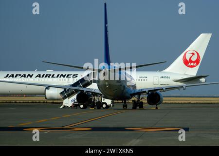 Tokio, Japan. März 2024. JAL- und ANA-Flugzeuge warten am Flughafen Haneda in Tokio. JAL hat den „Ouen Saver“-Tarif für Flüge im März festgelegt, um den Wiederaufbau nach dem Erdbeben auf der Halbinsel Noto zu unterstützen. (Foto: James Matsumoto/SOPA Images/SIPA USA) Credit: SIPA USA/Alamy Live News Stockfoto