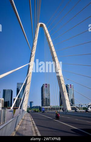 BA Son Road Bridge, verbindet Bezirk 1 mit Bezirk Thu Thiem, Teil der neuen Thu Duc City Entwicklung, Ho Chi Minh City, Vietnam Stockfoto