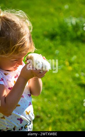 Ein Kind spielt mit einem Huhn. Selektiver Fokus. Stockfoto