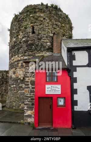 Das kleinste Haus Großbritanniens am Kai in Conwy in Nordwales Stockfoto