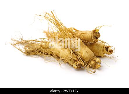 Ginseng isoliert auf weißem Hintergrund Stockfoto