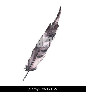 Schwarzweiß-graue Vogelfeder mit grafischer Tinte, handgezeichnetes Aquarellteil. Echte Feder, Flügeltier Illustration. Clipart für Logo Stockfoto