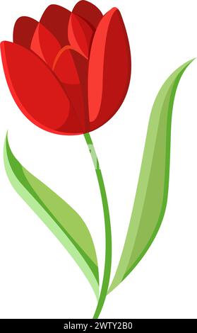 Tulpenblüte isoliert. Illustration des flachen Vektors Stock Vektor