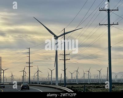 Palm Springs, Usa. März 2024. Der Windpark San Gorgonio Pass liegt in der Nähe von Palm Springs und beherbergt eine der größten Windkraftanlagen in den Vereinigten Staaten mit über 3.000 Turbinen, die saubere, erneuerbare Energie erzeugen. Die High-Tech-Megatowers werden in Zusammenarbeit mit der NASA entwickelt und durch staatliche und staatliche Subventionen gepflegt. Palm Springs, CA, USA, 13. März 2024. März 2024 Foto: Paul Harris Photography/ABACAPRESS.COM Credit: Abaca Press/Alamy Live News Stockfoto