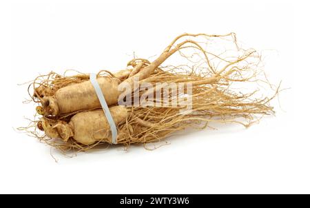 Ginseng isoliert auf weißem Hintergrund Stockfoto