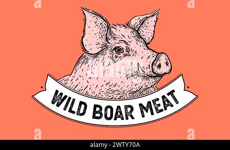 Etikett für Schweinefleisch, Schwein, Schwein, Kopf, Fleisch. Vorlage Für Etikett Mit Fleischkennzeichnung. Vintage-Druck, Tag, Etikett Pig Sketch Tinte Bleistiftzeichnung. Fleischerei Schweinekopf Fleischgeschäft, Text, Typografie. Vektorabbildung Stock Vektor