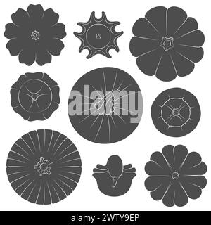 Set von Schwarz-Weiß-Bildern mit Kürbissen verschiedener Typen und Formen. Isolierte Vektorobjekte auf weißem Hintergrund. Stock Vektor