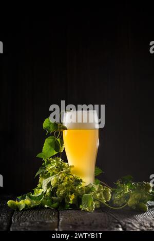 Ein Glas Bier mit Schaum und grünen Hopfenzweigen auf dunklem Holzhintergrund, Kopierraum. Das Konzept des Naturbiers. Brautraditionen. Oktoberfest Stockfoto