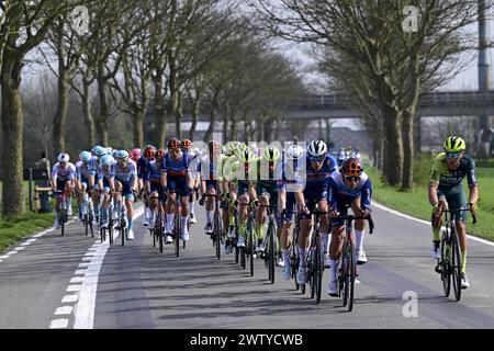 De Panne, Belgien. März 2024. Die Gruppe von Fahrern, die während des eintägigen Rennens „Classic Brugge-de Panne“ der Herren in Aktion gezeigt wurden, 198, 9 km von Brügge nach de Panne, Mittwoch, den 20. März 2024. BELGA FOTO LAURIE DIEFFEMBACQ Credit: Belga News Agency/Alamy Live News Stockfoto