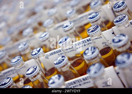 Corona Extra Bier Sale, in Bierboxen für 6 Flaschen, mit Griff. Ein Haufen mexikanischer Bierboxen der Marke Corona in einem Supermarkt. Corona ist die beliebteste Stockfoto