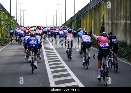 De Panne, Belgien. März 2024. Die Gruppe von Fahrern, die während des eintägigen Rennens „Classic Brugge-de Panne“ der Herren in Aktion gezeigt wurden, 198, 9 km von Brügge nach de Panne, Mittwoch, den 20. März 2024. BELGA FOTO LAURIE DIEFFEMBACQ Credit: Belga News Agency/Alamy Live News Stockfoto