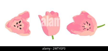 Set rosa Tulpenknospen. Vektorillustration auf weißem Hintergrund. Stock Vektor