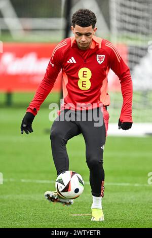 Brennan Johnson aus Wales während der offenen Schulung in Wales im Vale Resort Training Complex, Hensol, Großbritannien, 20. März 2024 (Foto: Craig Thomas/News Images) Stockfoto