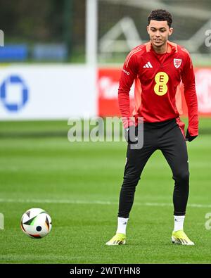 Brennan Johnson aus Wales während der offenen Schulung in Wales im Vale Resort Training Complex, Hensol, Vereinigtes Königreich. März 2024. (Foto: Craig Thomas/News Images) in, am 20.03.2024. (Foto: Craig Thomas/News Images/SIPA USA) Credit: SIPA USA/Alamy Live News Stockfoto
