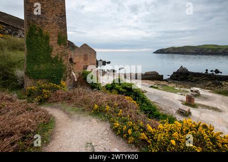 Überreste einer alten verlassenen Ziegelei in Porth Wen an der Nordküste von Anglesey, Nordwales. Stockfoto