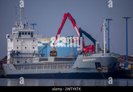 Wismar, Deutschland. März 2024. Der Frachter 'Berkborg' wird im Seehafen Wismar entladen. Das Bundeskabinett hat eine nationale Hafenstrategie beschlossen. Ziel ist es, die deutschen Häfen zu stärken. Dazu gehört beispielsweise die internationale Wettbewerbsfähigkeit der Hafenstandorte oder die wichtige Rolle der Häfen bei der Energiewende. Quelle: Jens Büttner/dpa/Alamy Live News Stockfoto