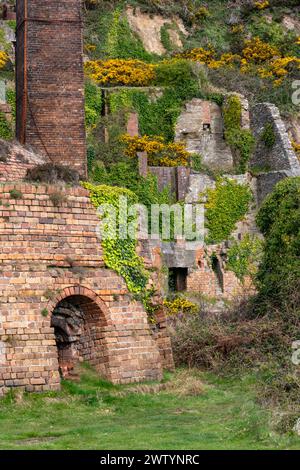 Überreste einer alten verlassenen Ziegelei in Porth Wen an der Nordküste von Anglesey, Nordwales. Stockfoto